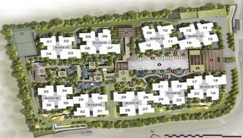 Site Plan Image